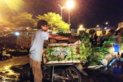 Rau xấu, có sâu chưa chắc đã sạch